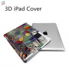 3D iPad Covers